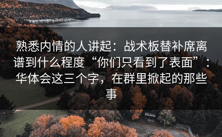 熟悉内情的人讲起：战术板替补席离谱到什么程度“你们只看到了表面”：华体会这三个字，在群里掀起的那些事
