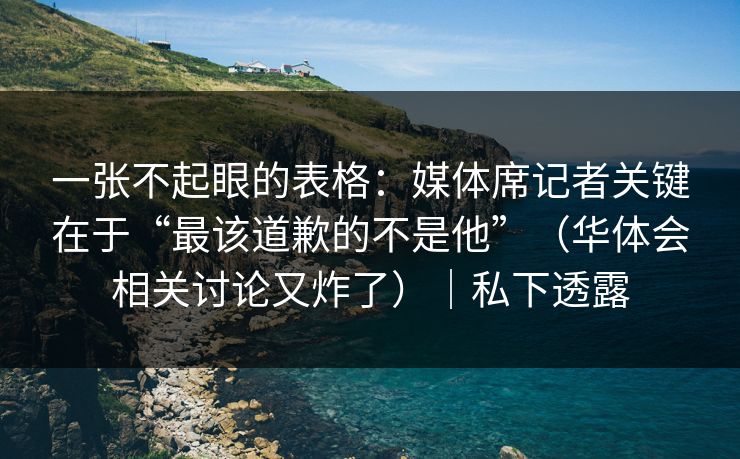 一张不起眼的表格：媒体席记者关键在于“最该道歉的不是他”（华体会相关讨论又炸了）｜私下透露
