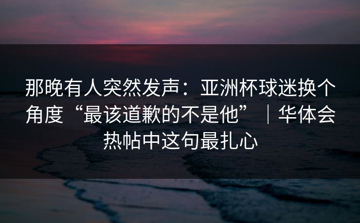 那晚有人突然发声：亚洲杯球迷换个角度“最该道歉的不是他”｜华体会热帖中这句最扎心